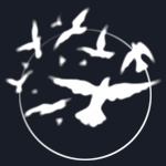 Celtic Circle Logo, Circle and Birds